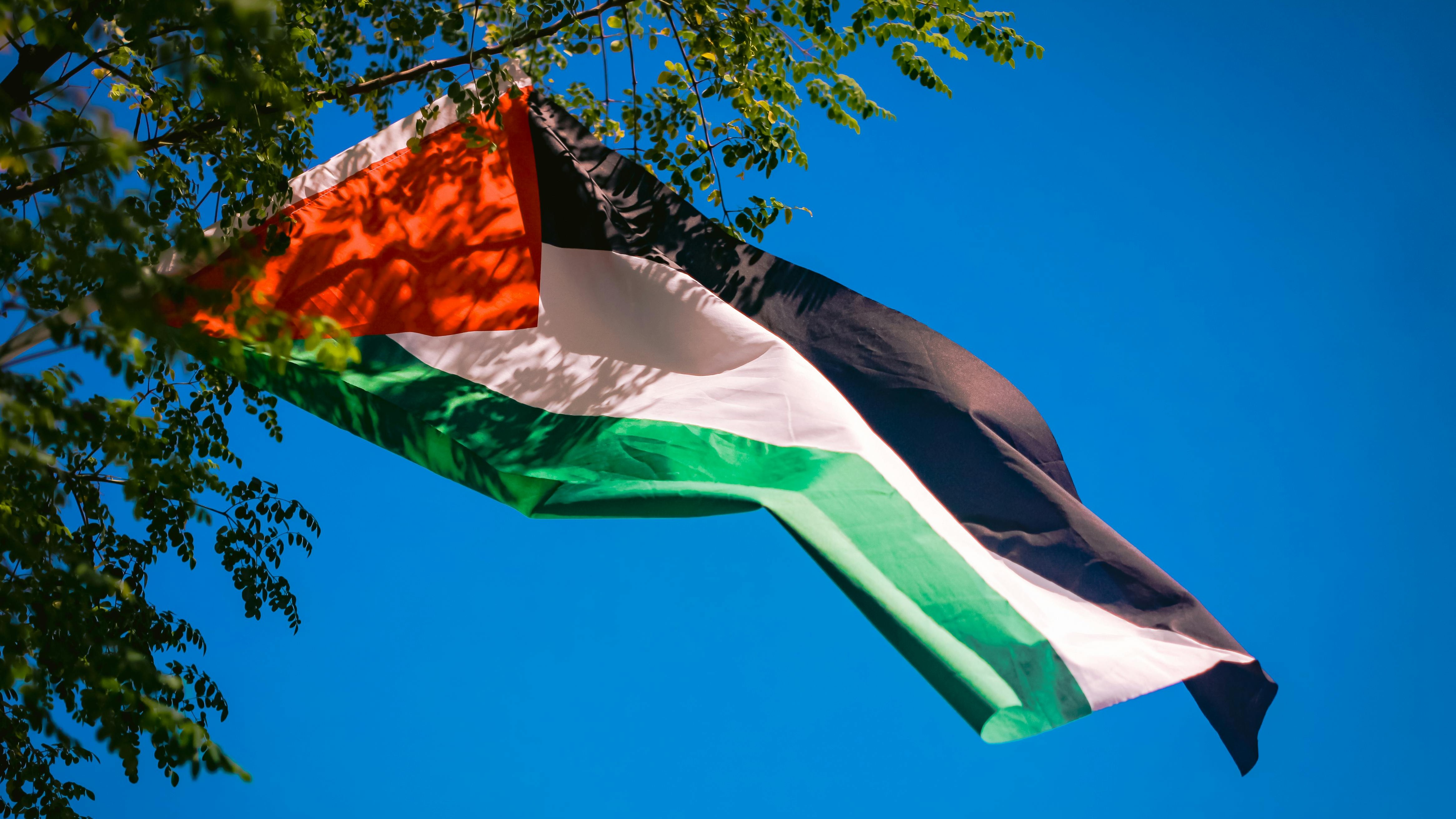 Positionality, Case Selection, and Fieldwork Studying Palestine as a Non-Palestinian Researcher