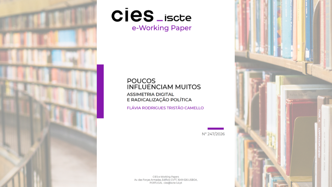 The few influencing the many: Digital asymmetry and political radicalisation