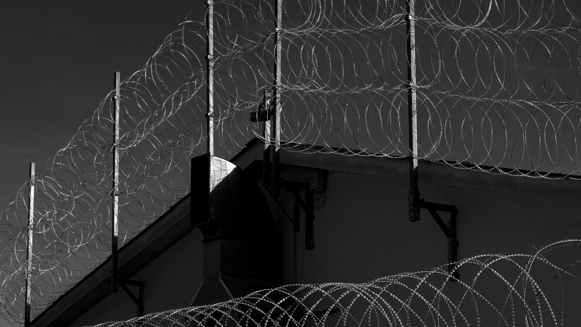 Creative approaches to challenge carceral border violence:  towards decarceral and  abolitionist futures